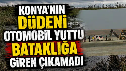 Konya'nın Düdeni otomobil yuttu: Bataklığa giren çıkamadı