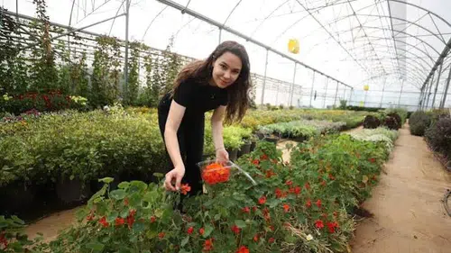 'Beni köyümün yağmurlarında yıkasınlar': Gençler dijital besicilik ve çiftçilik için şehirden kaçıyorlar