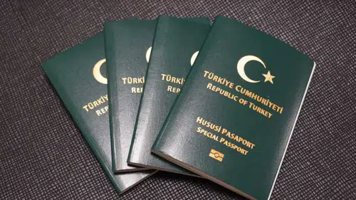 Şehit yakınları ve gazilere yeşil pasaport: 'Çerçeve Yasa' ile gündeme geldi