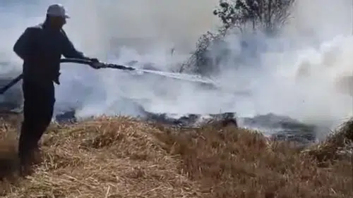 Konya itfaiyesi alarma geçti: Sazlıkta başlayan yangın ormana sıçradı