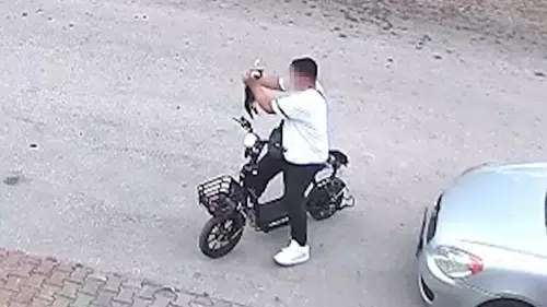 Yavru kediyi önce öptü sonra boğdu: İşte hayvanlara şiddetin altında yatan nedenler