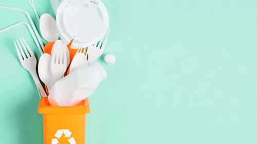 Tek kullanımlık plastik ambalajlara yönelik kısıtlama
