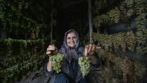 Konya'daki kuru üzüm üreticileri beklemede