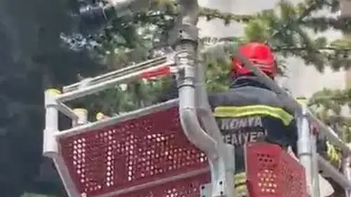 Konya'da kedi kurtarma operasyonu
