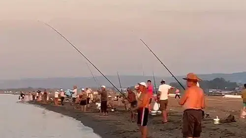 Dar gelirli vatandaş sahile koştu: İstavrit bereketi