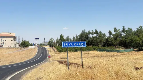 Kediler kuduz olur mu: Kedinin ısırdığı çocuk entübe edildi