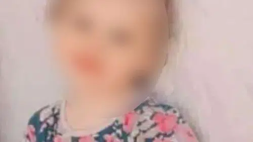 Kediler kuduz oluyor mu: 3 yaşındaki çocuğun acı sonu