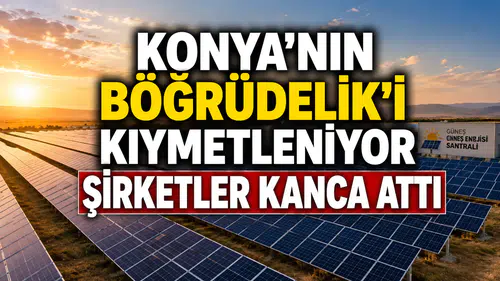 Konya’nın Böğrüdelik’i kıymetleniyor: Şirketler kanca attı