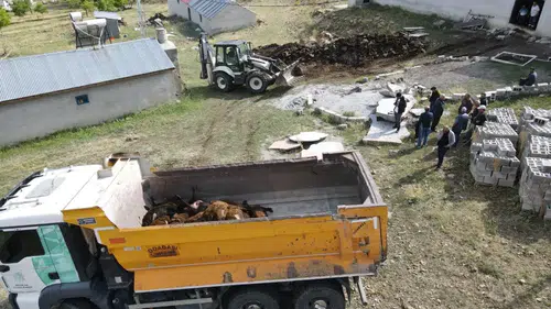 Ayı ayılığını yaptı arkada bu acı manzara kaldı