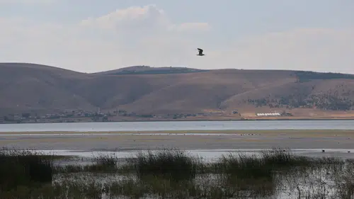 Konya'da geçen yıl tamamen kuruyan göl yeniden balık tutma hayalleri kurduruyor
