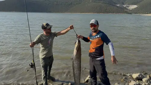 Adeta vahşi yaşam belgeseli: Dev yayın balığı mücadele