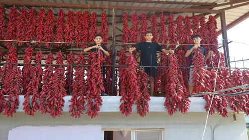 Mahalledeki balkonları kırmızıya bürüdü