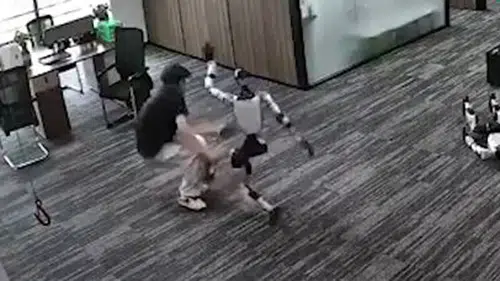 İnsansı robot kontrolden çıktı, geliştiricisine saldırdı