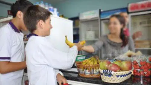 Okul kantinlerinde tost ayranın fiyatı belli oldu