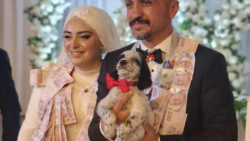 Damatla geline sıra dışı hediye