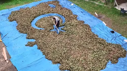 Fındıkla Türkiye haritası ve bayrağı çizdiler: Kıbrıs unutuldu