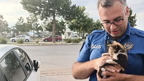 Konya'da polis ve bekçi yavru kedi için seferber oldu