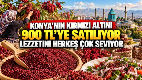Konya’nın kırmızı altını 900 TL’ye satılıyor: Lezzetini herkes çok seviyor