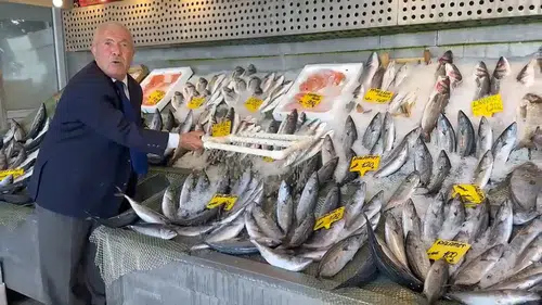 Palamut alırken bu yalanlara inanmayın: Balıkta bakılacak 5 bölge