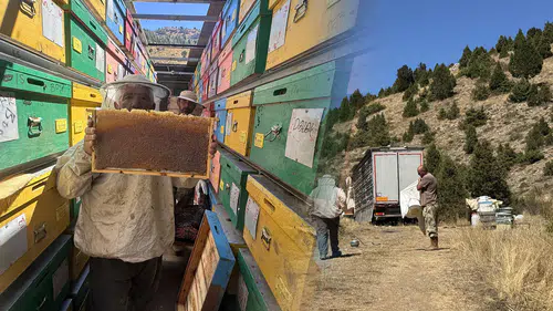 Antalya'dan Konya'ya uzanan lezzet sırrı: Yüksek konumlar bereketlendi