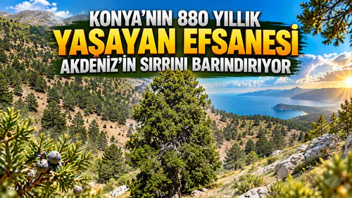 Konya’nın 880 yıllık yaşayan efsanesi: Akdeniz’in sırrını barındırıyor