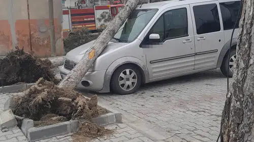 Konya'da fırtına çatıları uçurdu, ağaçları devirdi