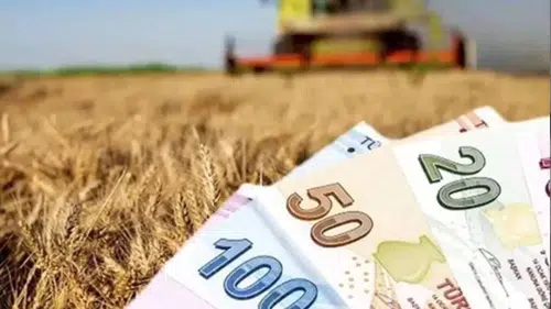 Tarımsal destek ödemeleri ne zaman yapılacak: Konyalı çiftçilere müjde