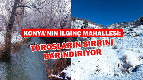 Konya’nın ilginç mahallesi: Torosların sırrını barındırıyor
