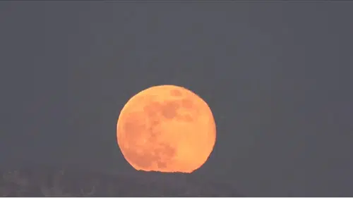 2026’nın ilk gökyüzü şöleni: "Kurt Dolunayı"