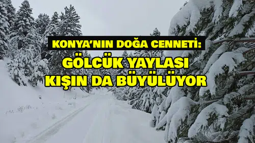 Konya’nın Doğa Cenneti: Gölcük Yaylası kışın da büyülüyor