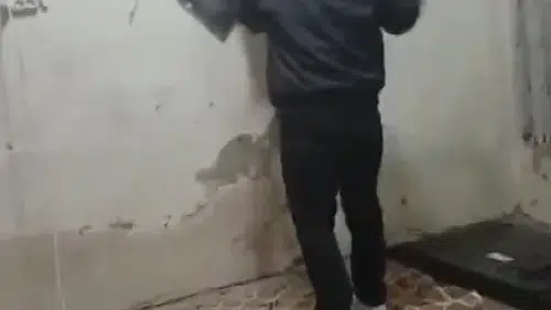 Adam evi böyle yıktı: Dört çocuk annesi öldürülmekten korkuyor