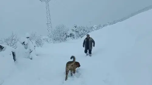 Konya'da kar yağışı: Köylüler ve üreticiler bayram ediyor