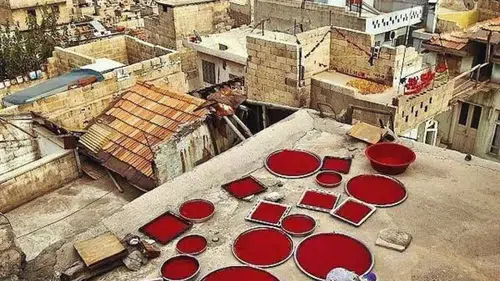 Evde salça yapmak hesaplı mı: Evde salça yapmanın püf noktaları