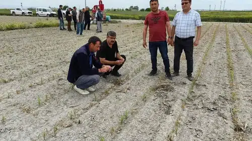 Konya'da yatırımcısını zengin edecek 14 alan: Kısa vadede üretim yüksek kazanç