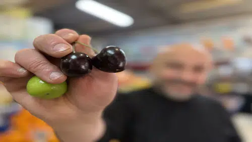 Konya'da "aşeren market" var mı: Üç tane kiraz 750 lira