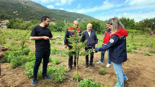 Konya'nın yeni ürünleri yetişiyor: Ferragnes, Ferraduel ve Makako..