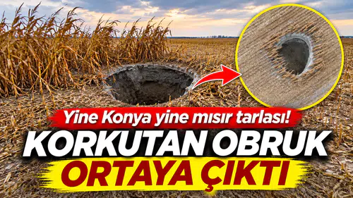 Yine Konya yine mısır tarlası! Korkutan obruk ortaya çıktı