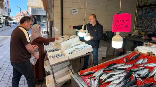 Palamutun adeti 50 liraya düştü