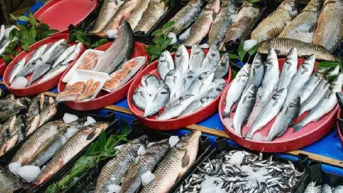 Hayatımız plastik oldu: Yediğimiz balıkta bile mikro plastik çıktı