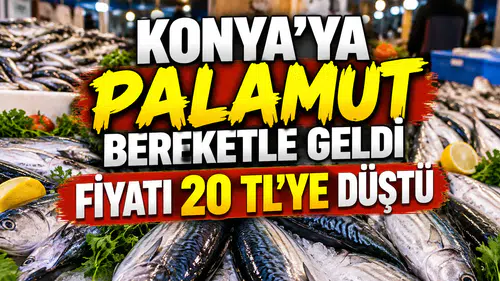 Konya’ya palamut bereketle geldi: Fiyatı 20 TL’ye düştü