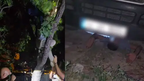 Konya'da arananların yakalandıkları yerler pes dedirtti: Ağaçta yakalandı