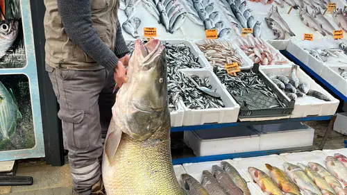 Gölde yakalandı gören hayrete düştü: Kilosu 500 lira
