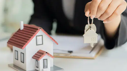 Konya'da sazan sarmalı operasyonu: Milyonlarca liralık vurgun