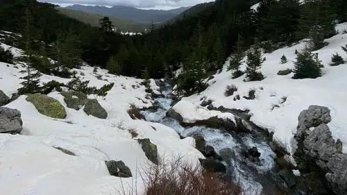 Konya'nın dört bir yanı umutla doldu: Göller doluyor ova hayat buluyor