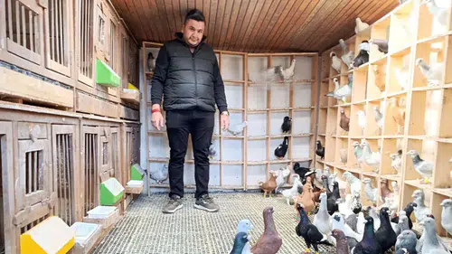 İki tanesiyle bir ev alınabiliyor: Memurluğu bırakıp bu işe girdi