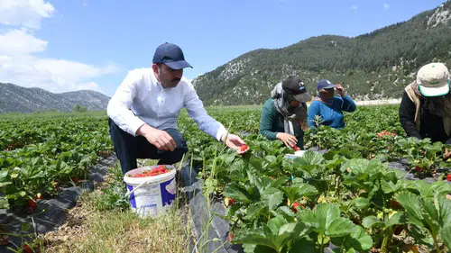 Konyalı çiftçiler: Tarım savunma sanayii kadar hayati önemde
