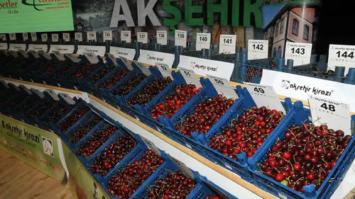 Konya büyük festivale hazırlanıyor: Kiraz Çiçeği için geri sayım