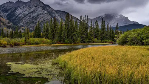 Ülkenin doğal cennetleri nasıl korunacak: Milli Parklarda yeni düzen