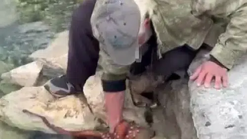 Görenler gözlerine inanamadı: Kayalıktaki dev ahtapotu elleriyle avladı