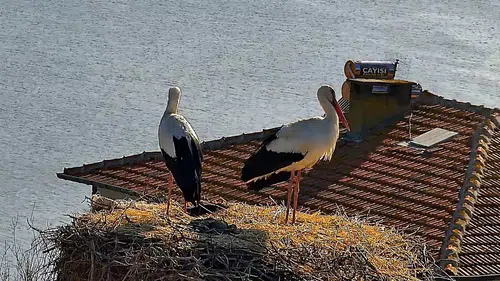 Dünyanın beklediği o buluşma gerçekleşti